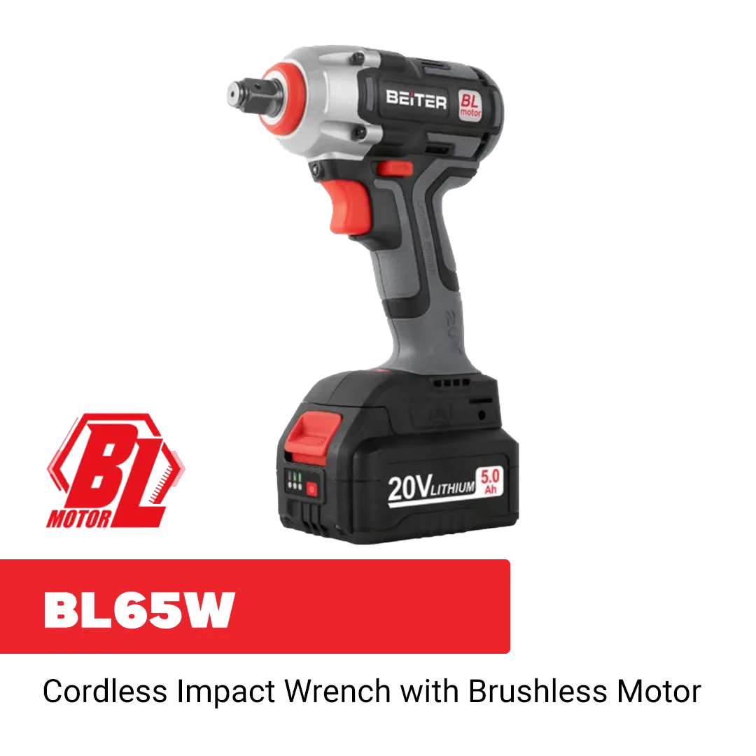 BL65W